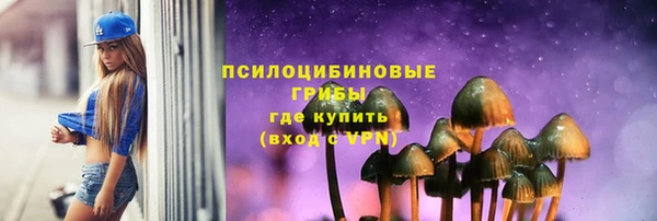 твердый Алзамай