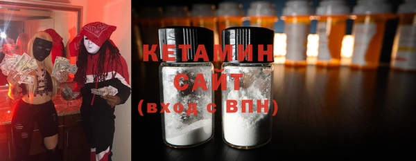 прущие грибы Новозыбков